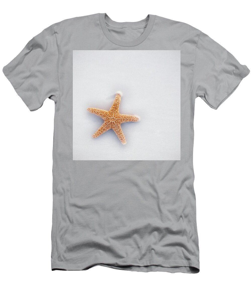 Destin T-Shirt featuring the photograph Starfish by Robert Bellomy