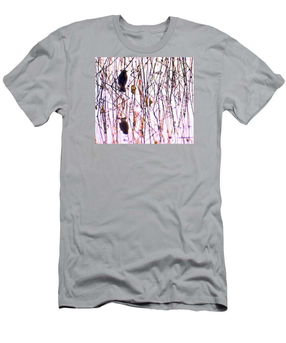 Starling T-Shirt featuring the photograph Starling Perched with Reflection by Josephine Buschman