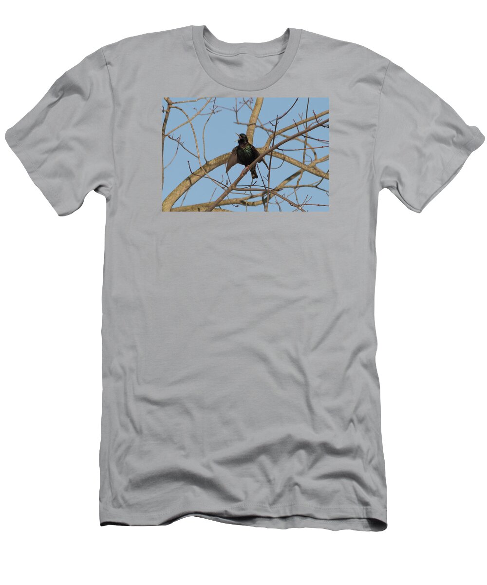Starling T-Shirt featuring the photograph Starling Yelling by Holden The Moment