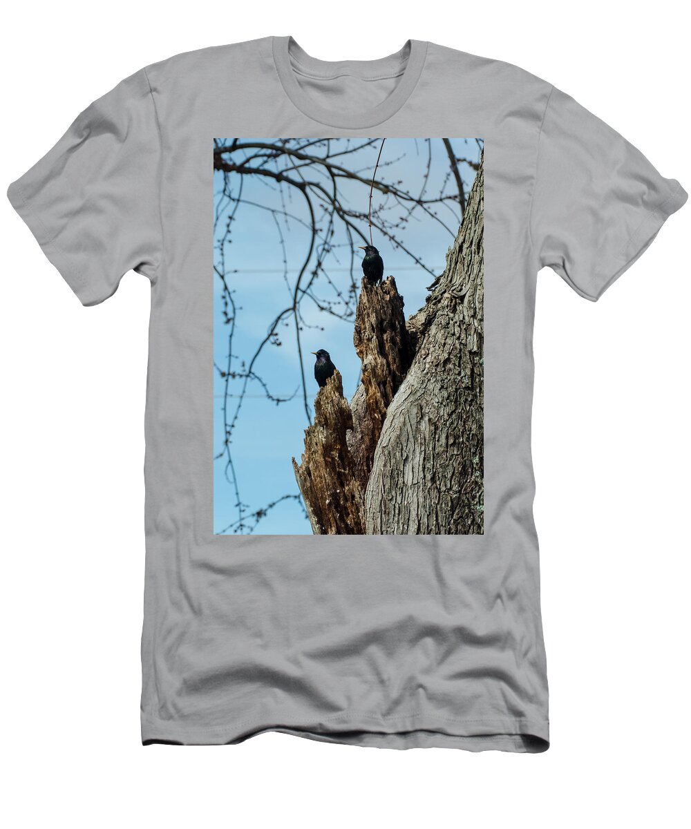 Jan Holden T-Shirt featuring the photograph Starlings Times Two by Holden The Moment