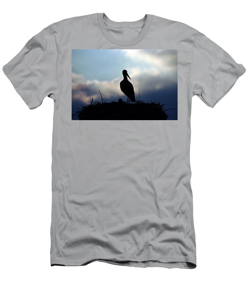 Stork T-Shirt featuring the photograph Stork in evening light by Cliff Norton