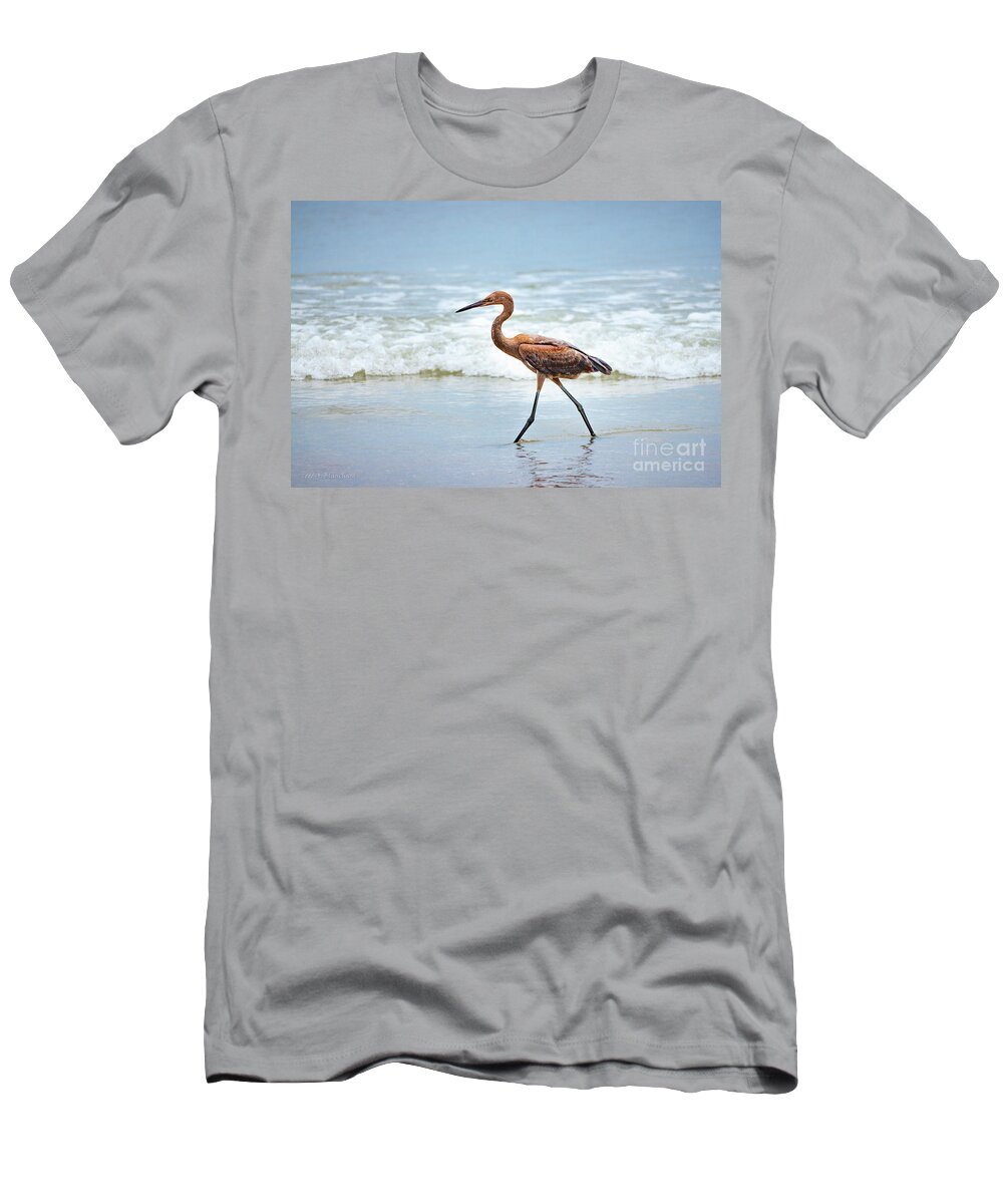 Florida T-Shirt featuring the photograph Strolling by Todd Blanchard