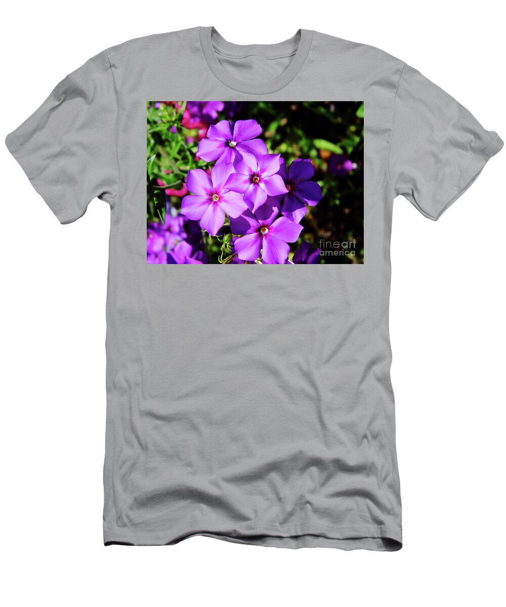 Phlox T-Shirt featuring the photograph Summer Purple Phlox by D Hackett