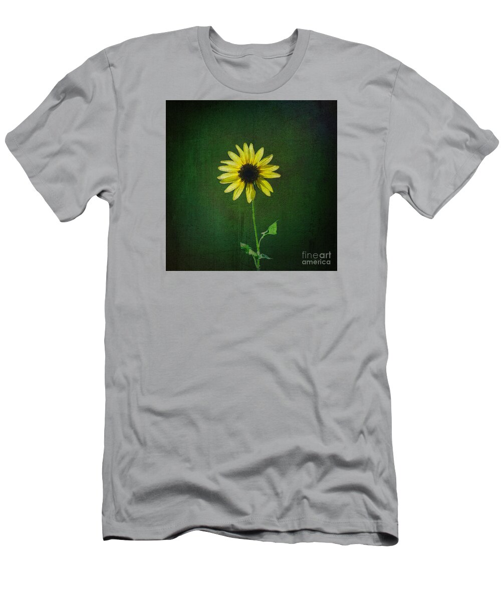 Sunflower T-Shirt featuring the photograph Sunflower by Diane Macdonald