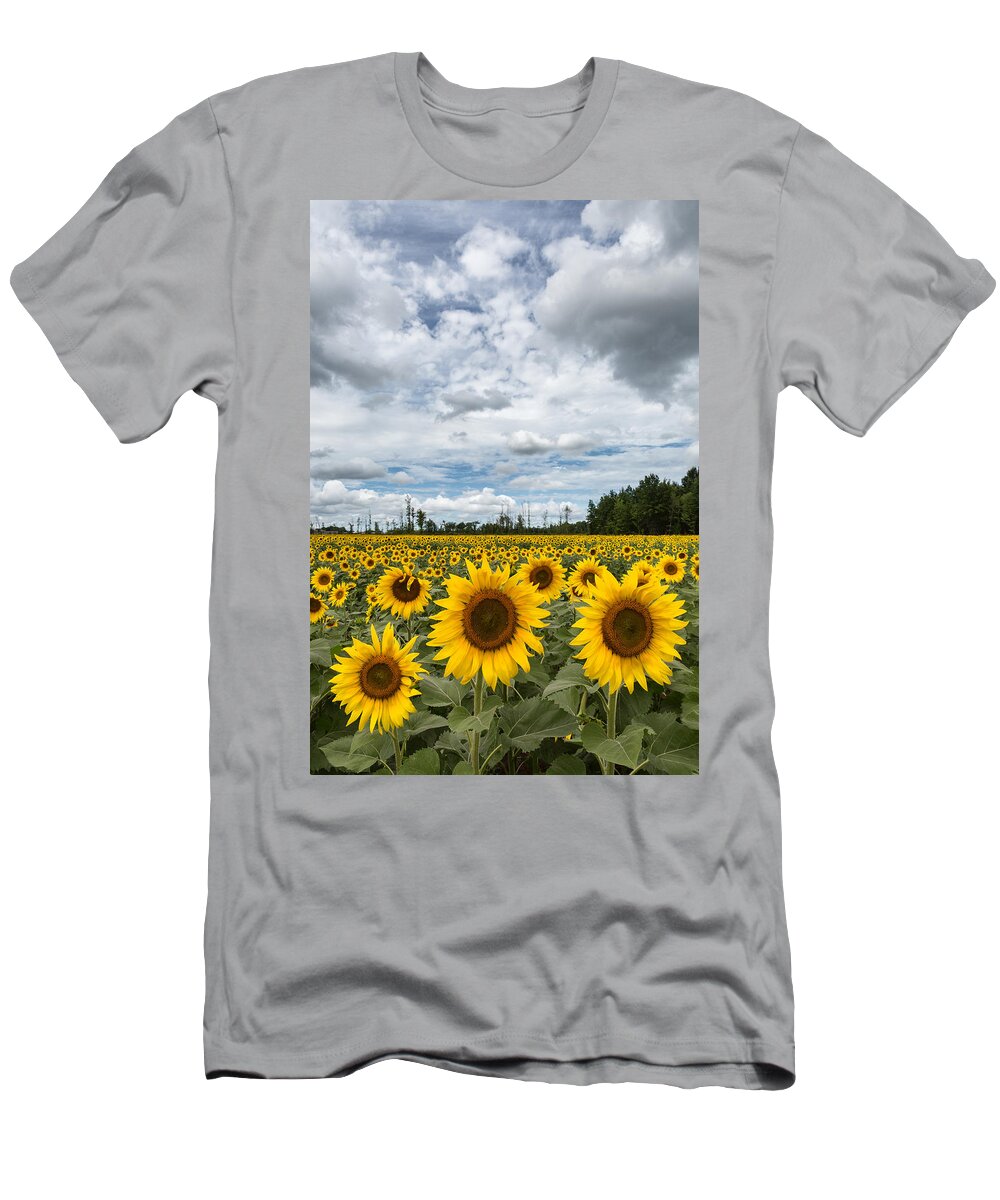 Sunflower Field T-Shirt featuring the photograph Sunflower Field by Dale Kincaid