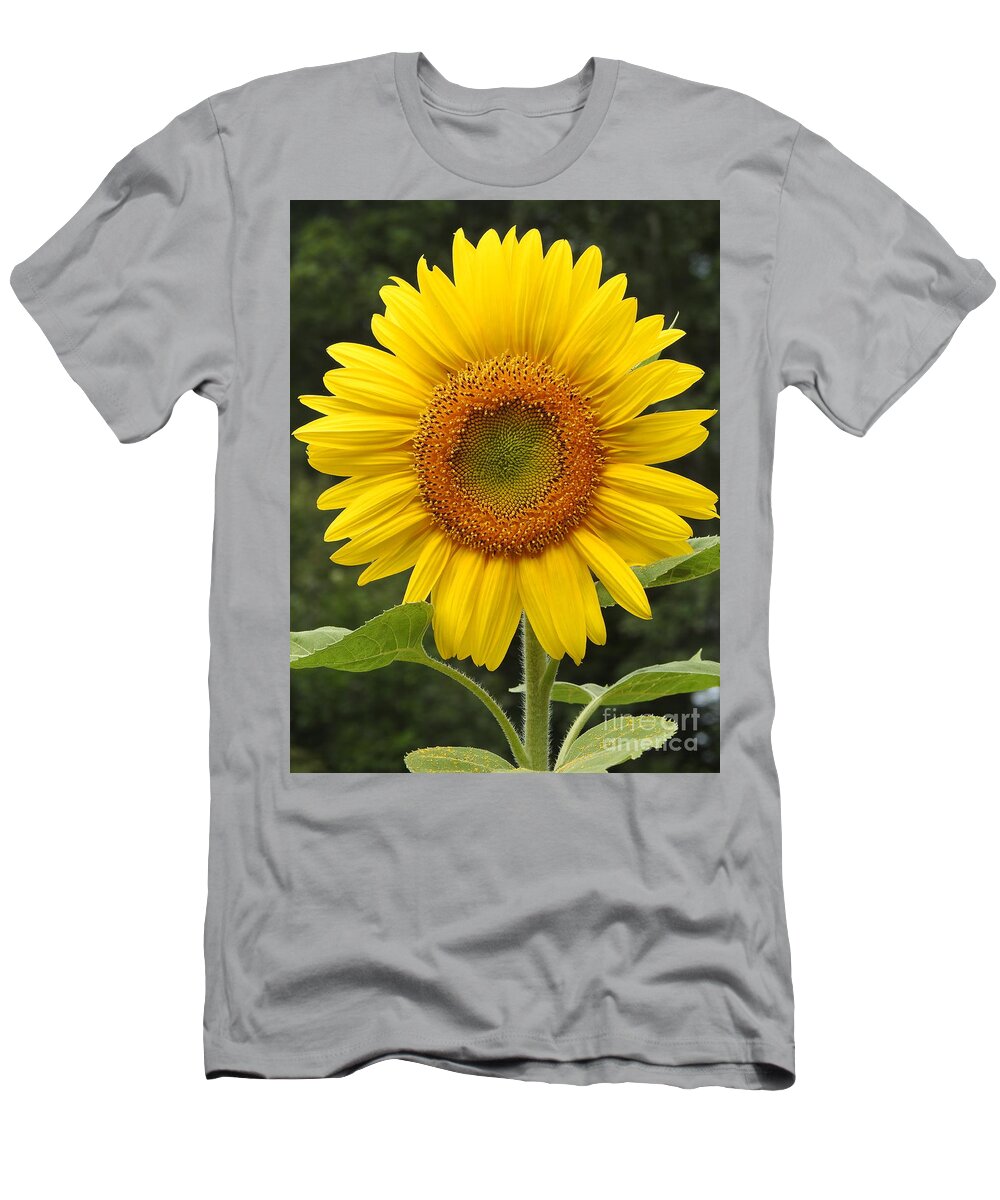 Sunflower T-Shirt featuring the photograph Sunflower Fully Open by Eunice Miller