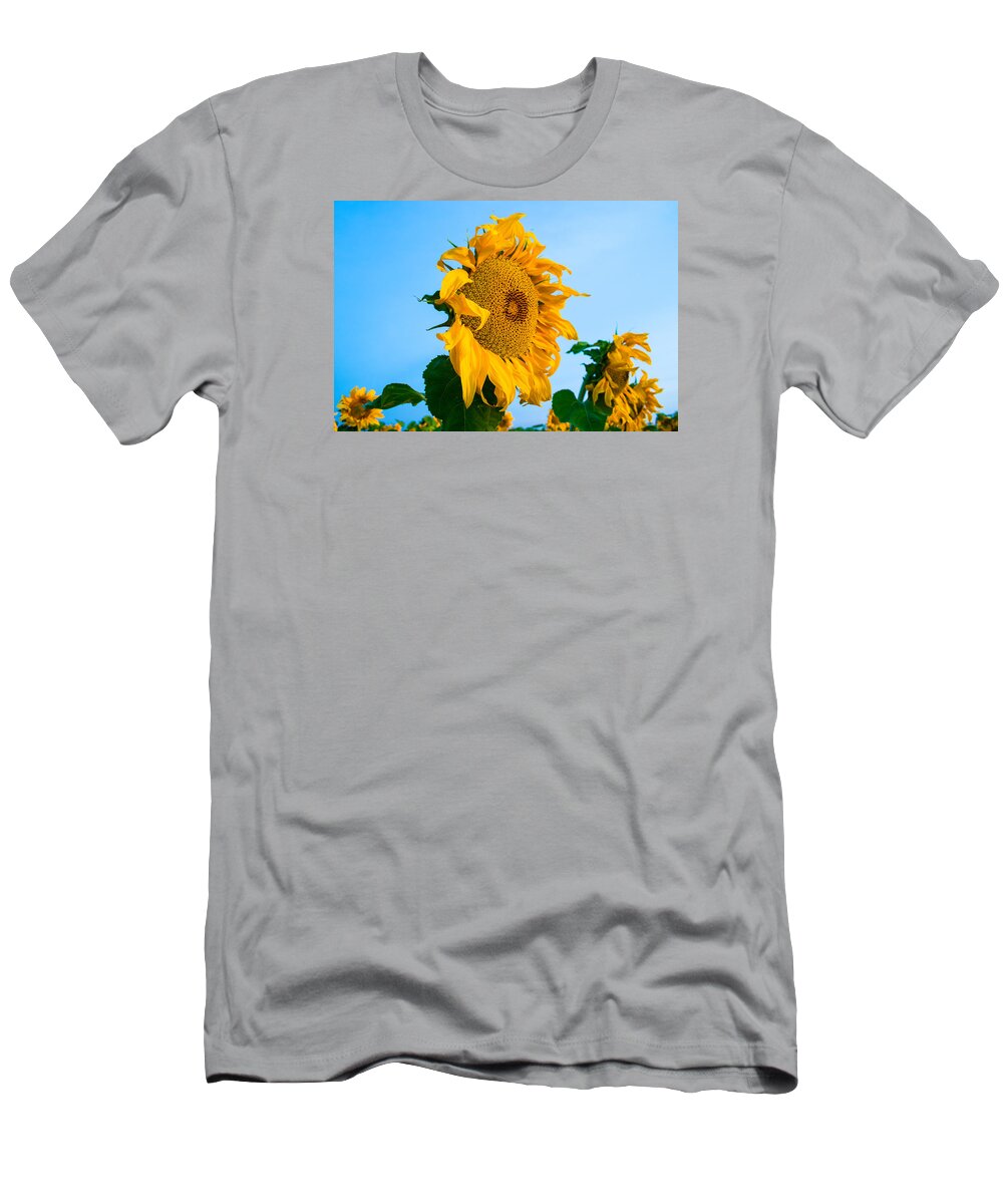 Sunrise T-Shirt featuring the photograph Sunflower Morning #2 by Mindy Musick King