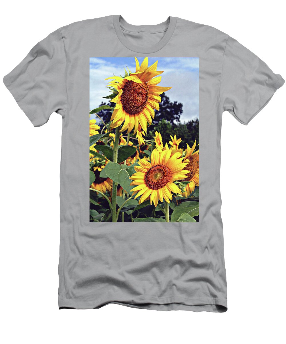 Sunflower T-Shirt featuring the photograph Sunny Days by Jessica Brawley