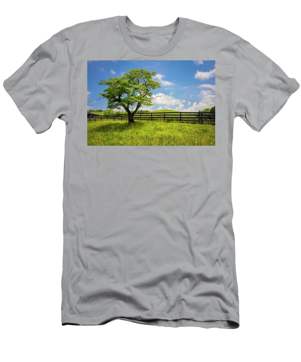 Appalachia T-Shirt featuring the photograph Sunshine on my Shoulder by Debra and Dave Vanderlaan