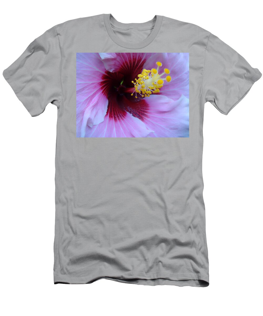Flower T-Shirt featuring the photograph Swirling Desire by Donna Blackhall