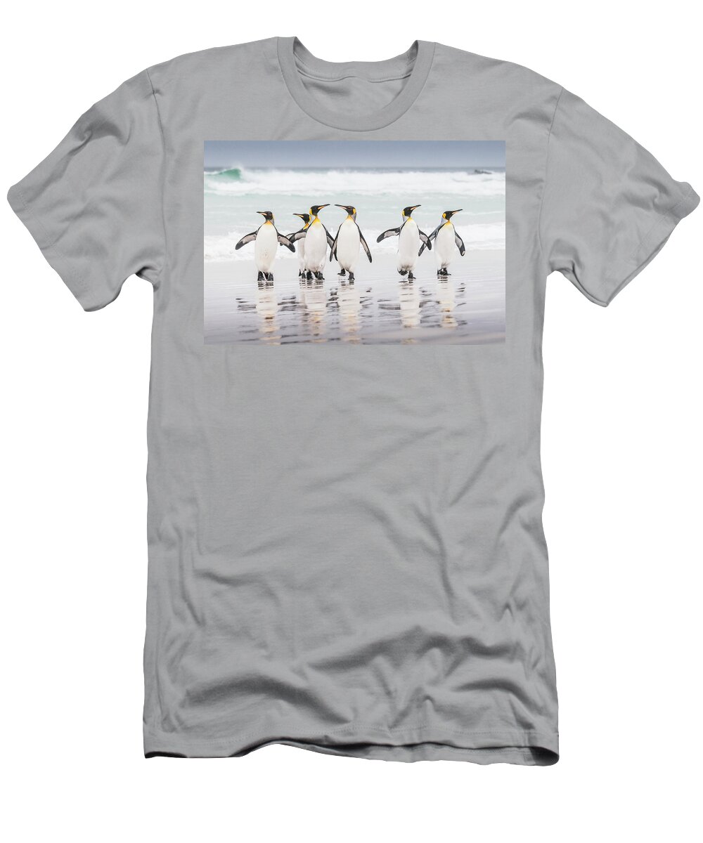 Large Birds T-Shirt featuring the photograph Tap dance. by Usha Peddamatham