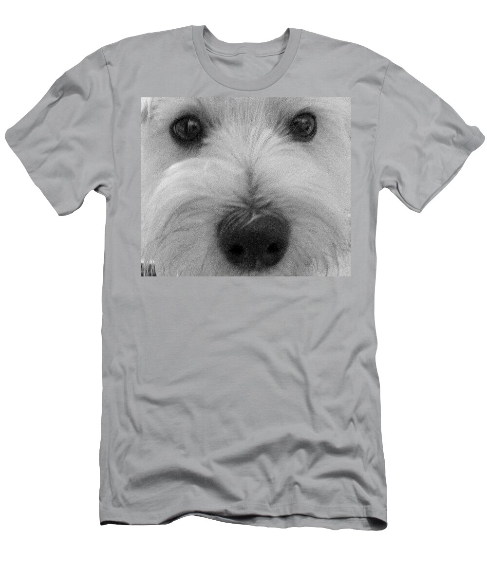 Dog T-Shirt featuring the photograph The Eyes Have It by Edward Smith