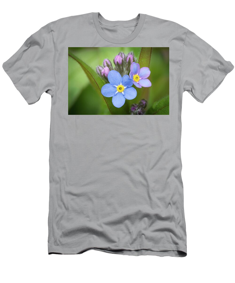 Color T-Shirt featuring the photograph The first blossom of the forget me not by William Lee