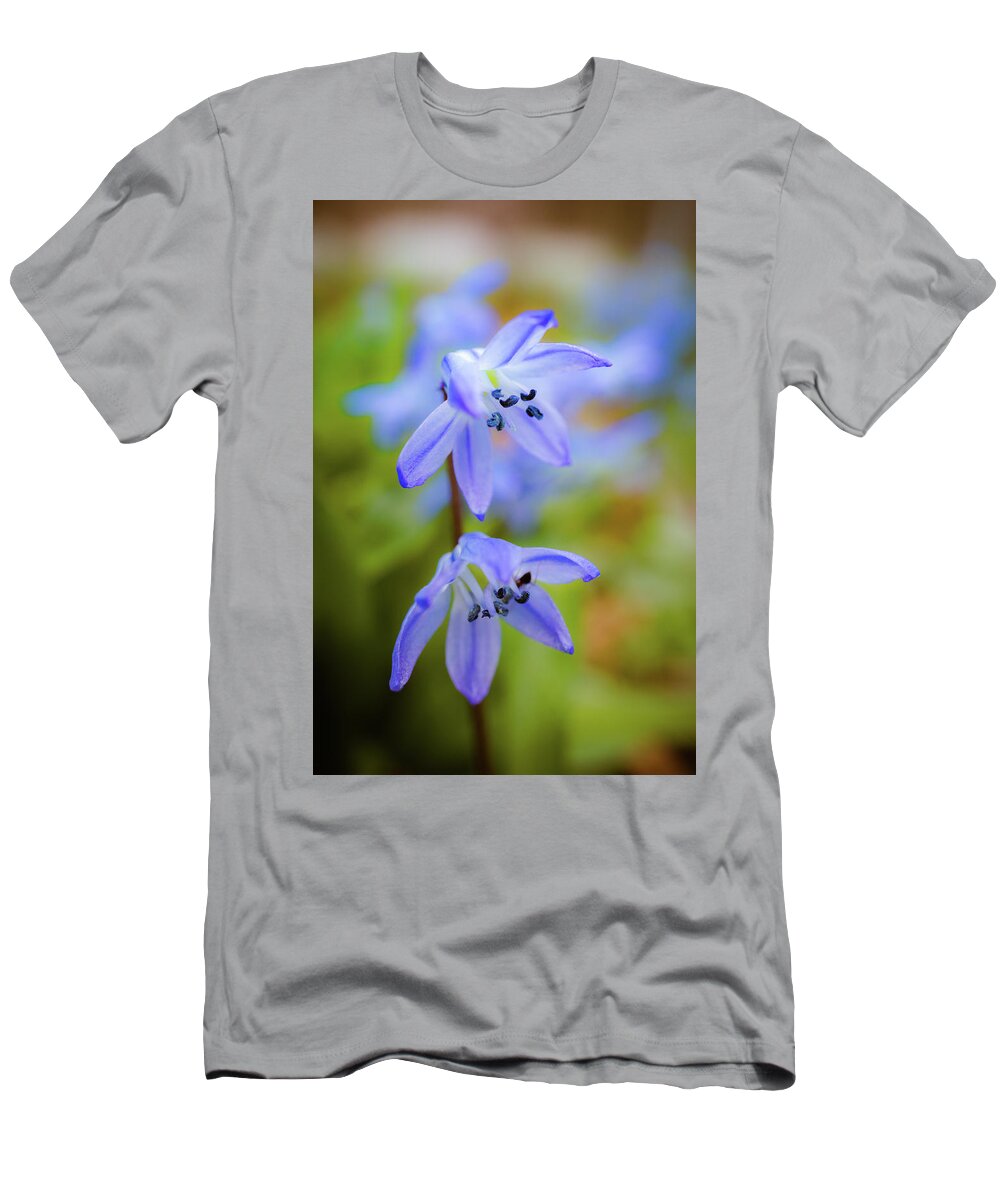 Spring Flowers T-Shirt featuring the photograph The first spring flowers by Lilia S