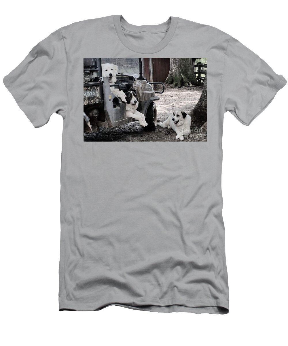 Dogs T-Shirt featuring the photograph The Helpers by Rabiah Seminole