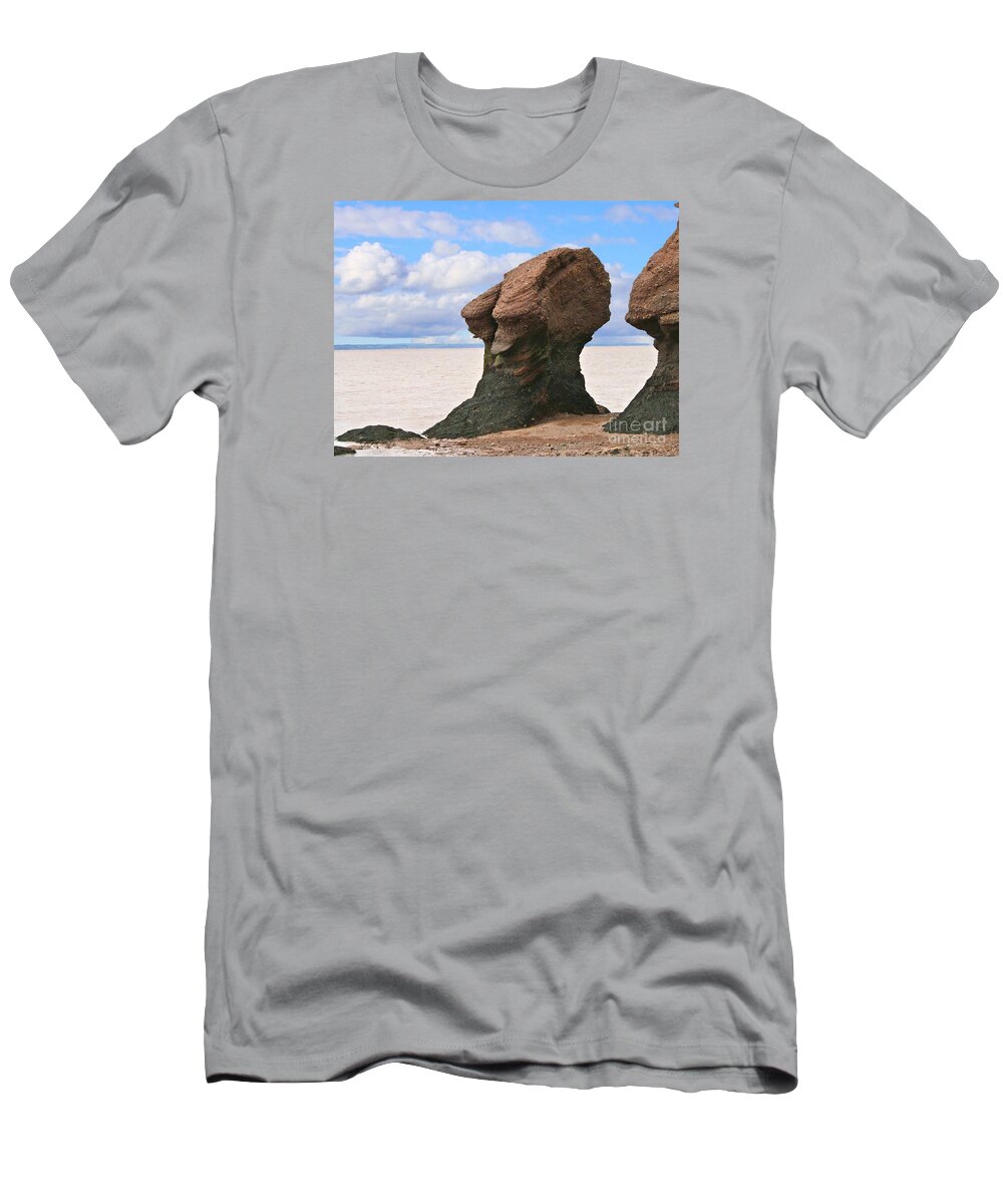 Rocks T-Shirt featuring the photograph The old wise one by Heather King