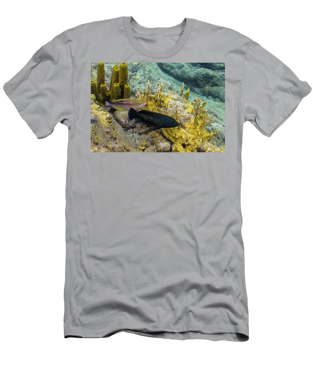 Ocean T-Shirt featuring the photograph The Princess and the Grouper by Lynne Browne