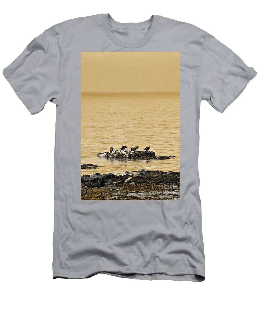 Aimelle T-Shirt featuring the photograph The Quatuor - Gold by Aimelle Ml