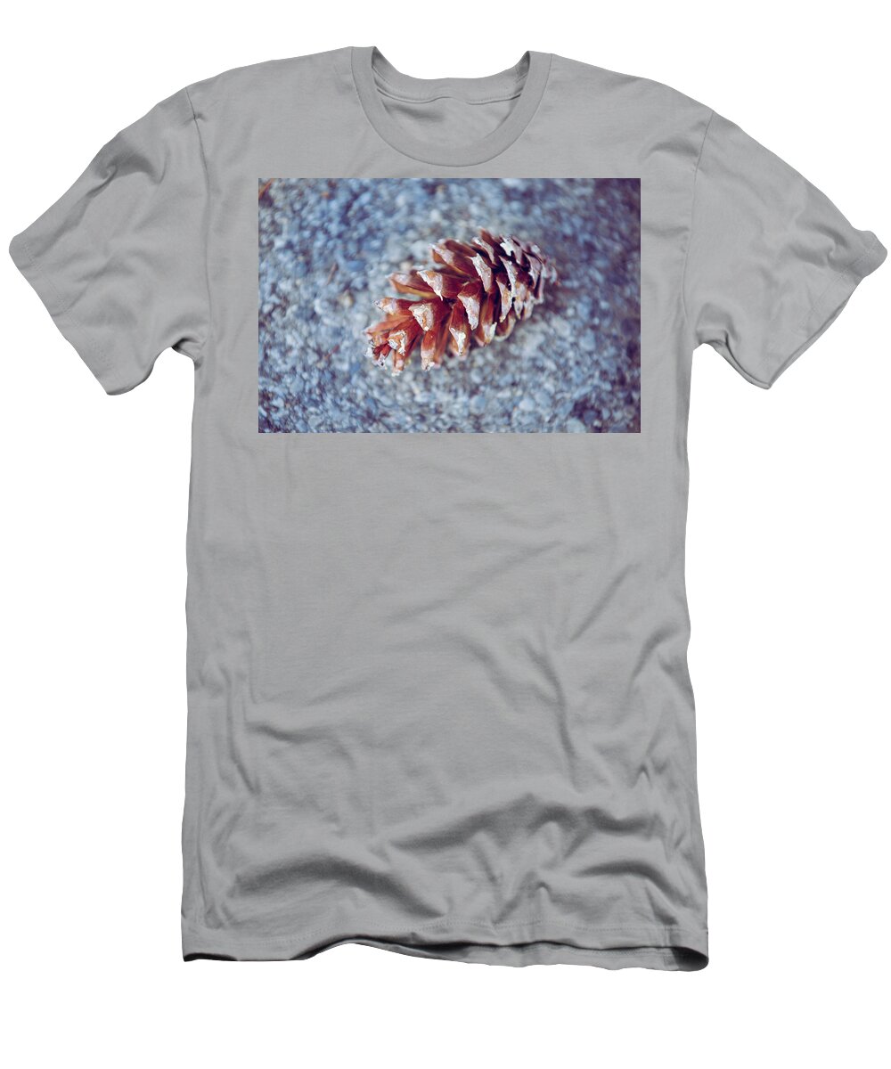 Autumn T-Shirt featuring the photograph Things of Autumn by Elvira Pinkhas