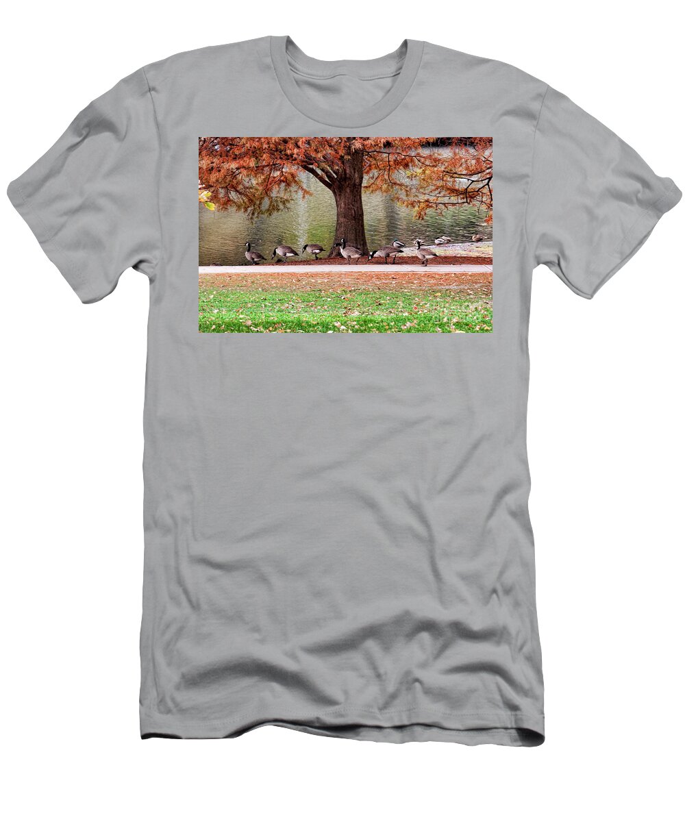 Geese T-Shirt featuring the photograph This Way Ladies by Joan Bertucci
