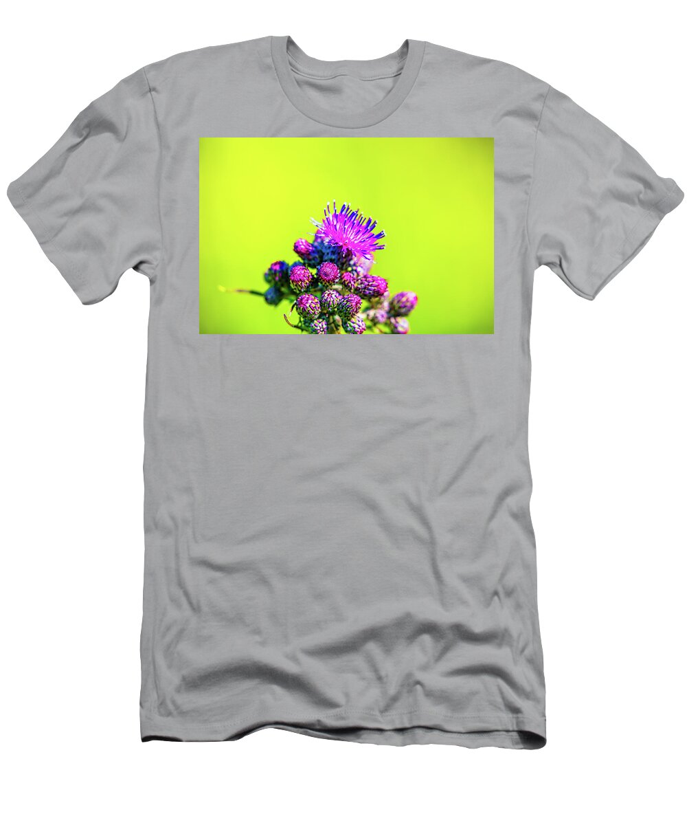 Flower T-Shirt featuring the photograph Thistle June 2016. by Leif Sohlman