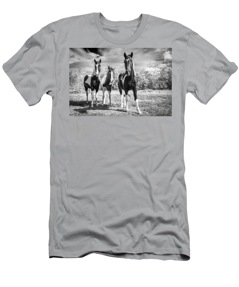 Horses T-Shirt featuring the photograph Three Amigos by Holly Ross
