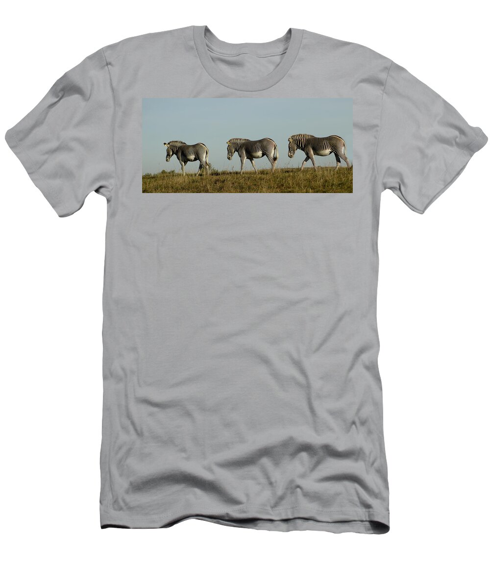 Zebra T-Shirt featuring the photograph Three on the Horizon by David Yocum