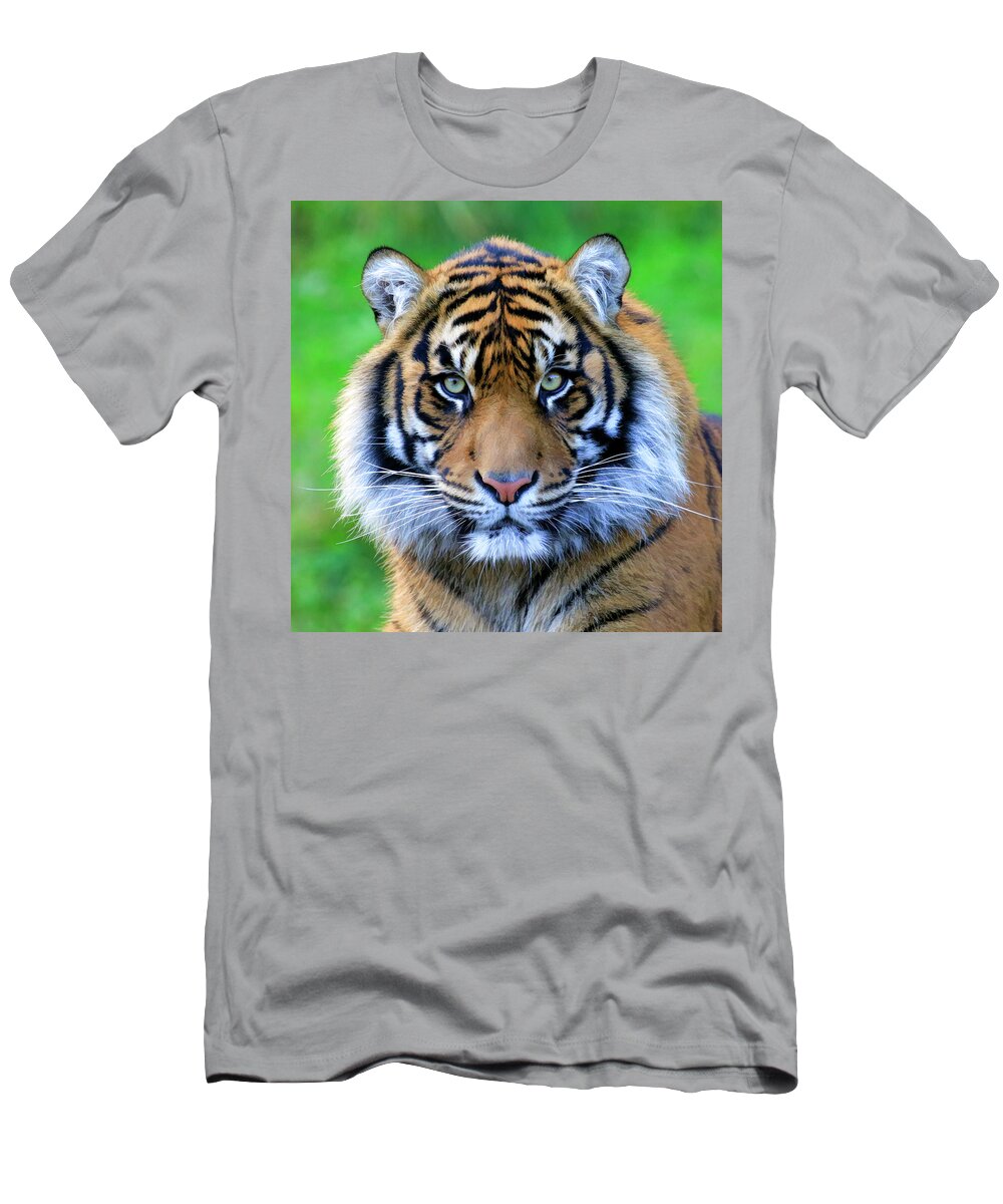 Tiger T-Shirt featuring the photograph Tiger Face Paint by Steve McKinzie