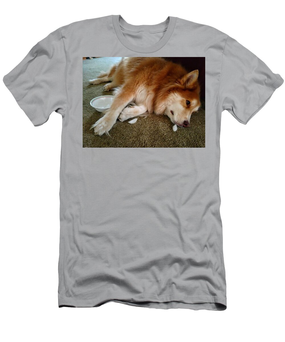  T-Shirt featuring the photograph Too Tired For Treats by Brad Nellis