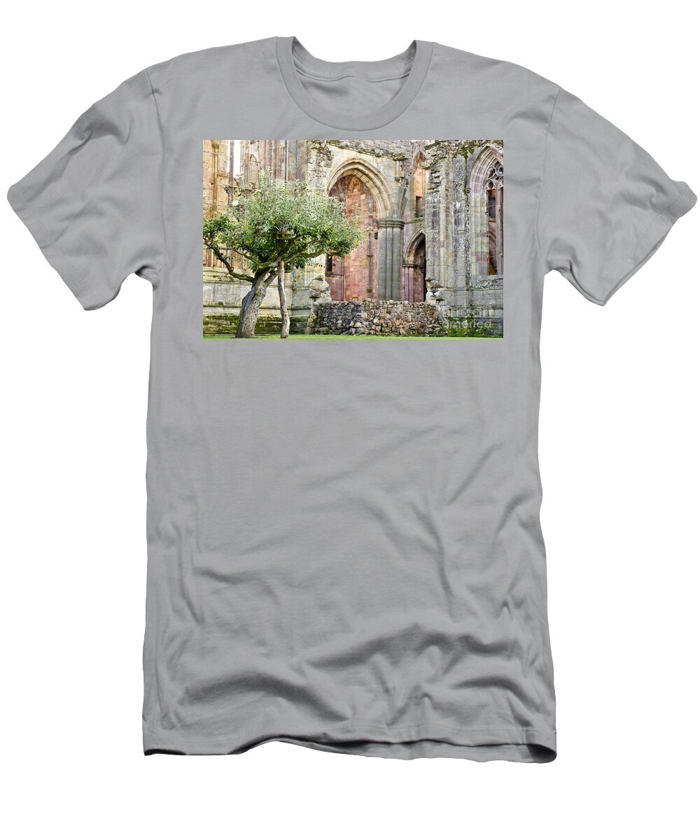 Old Tree T-Shirt featuring the photograph Tree at the Wall by Elena Perelman