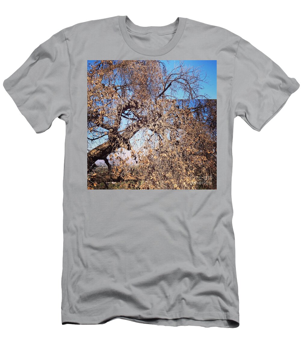 Tree T-Shirt featuring the photograph Tree Bow and Dance by Nora Boghossian