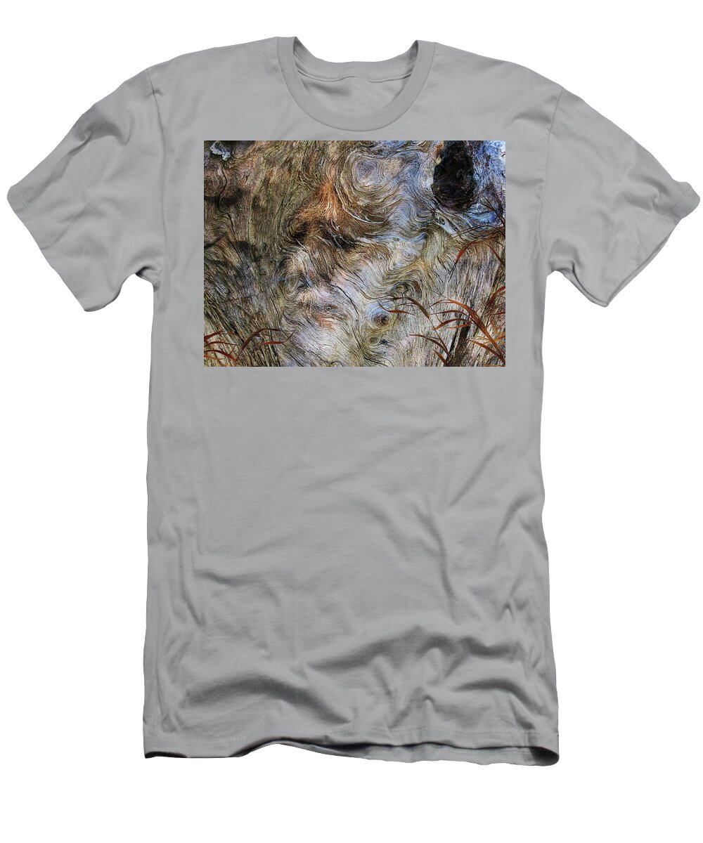 Trees T-Shirt featuring the photograph Tree Memories # 35 by Ed Hall