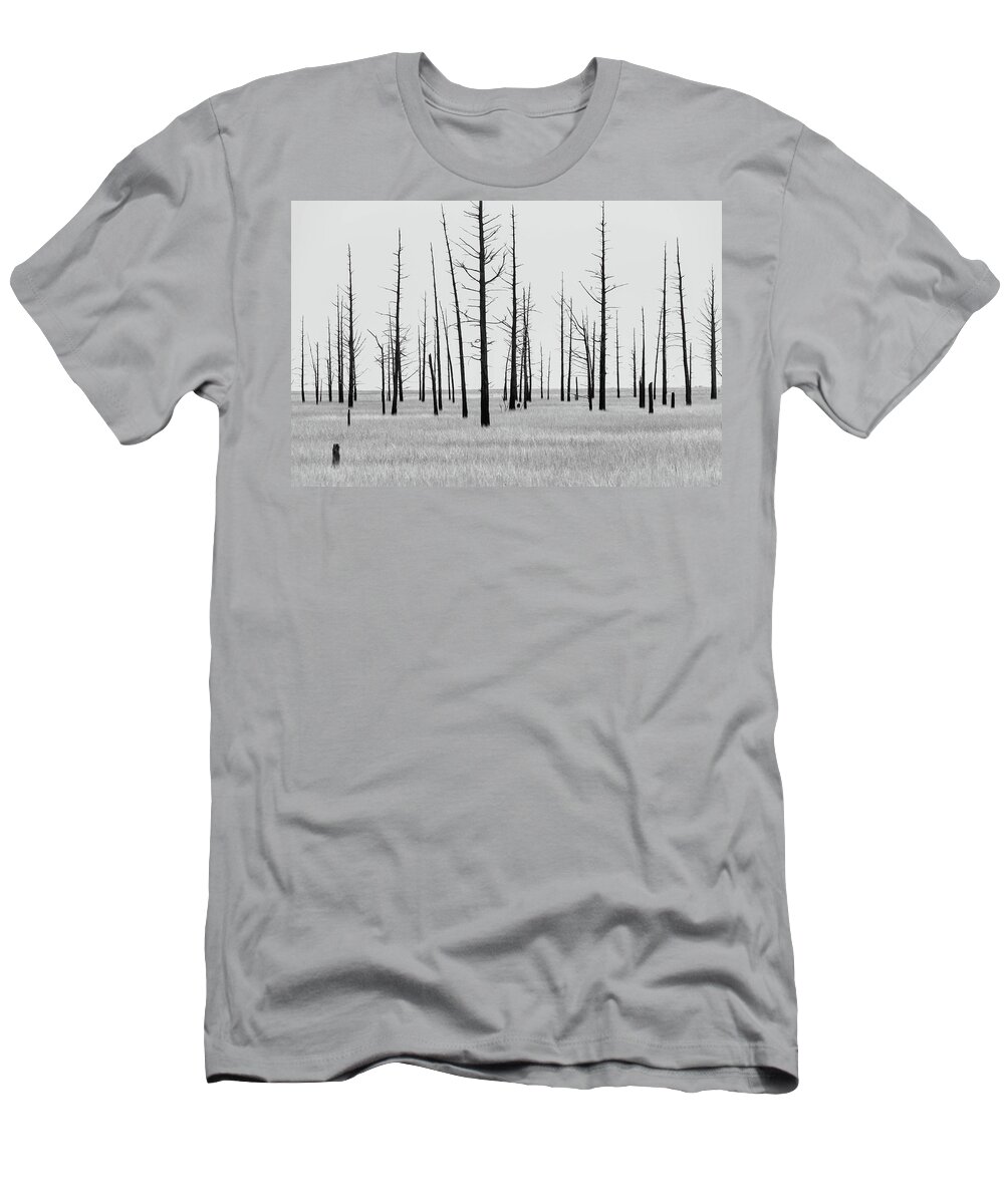 Landscape T-Shirt featuring the photograph Trees Die off by Louis Dallara