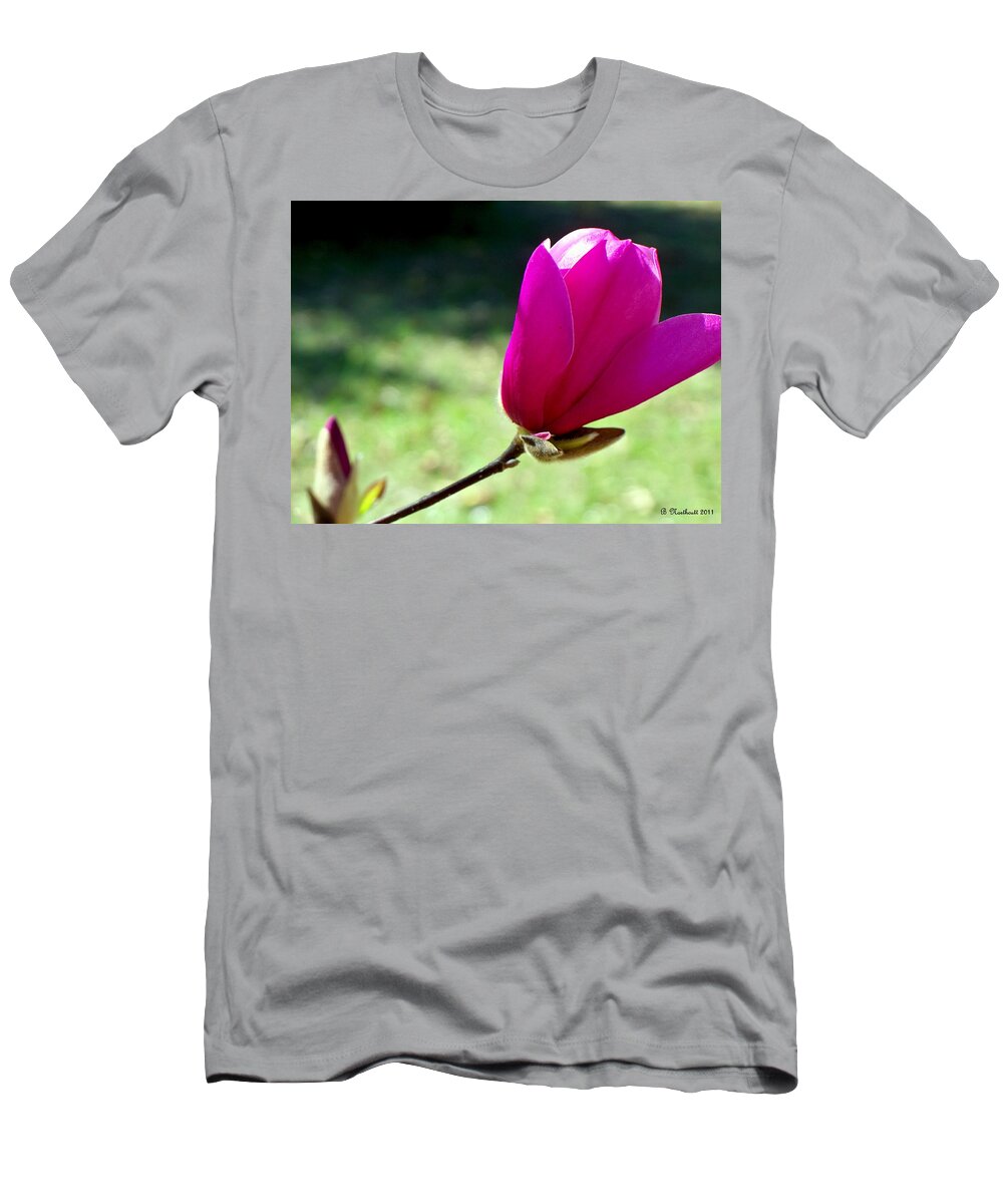Tulip T-Shirt featuring the photograph Tulip Tree Blossom by Betty Northcutt
