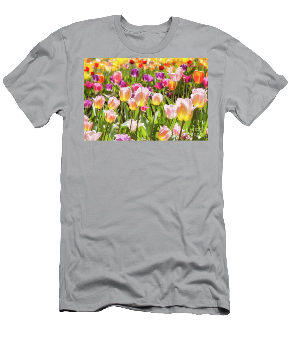 Bright Flowers T-Shirt featuring the photograph Tulips by Charles Garcia