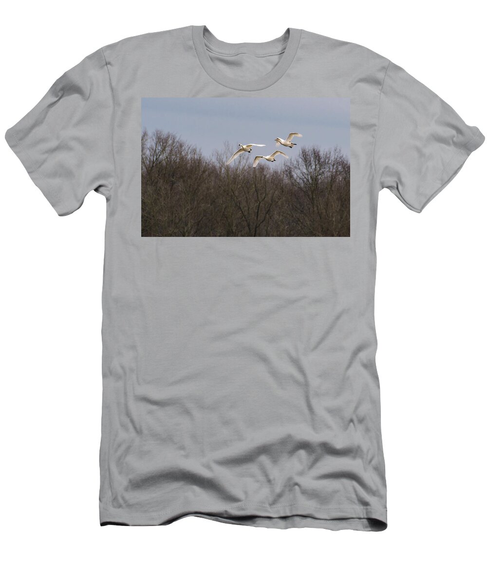 Nature T-Shirt featuring the photograph Tundra Swan Trio by Donald Brown