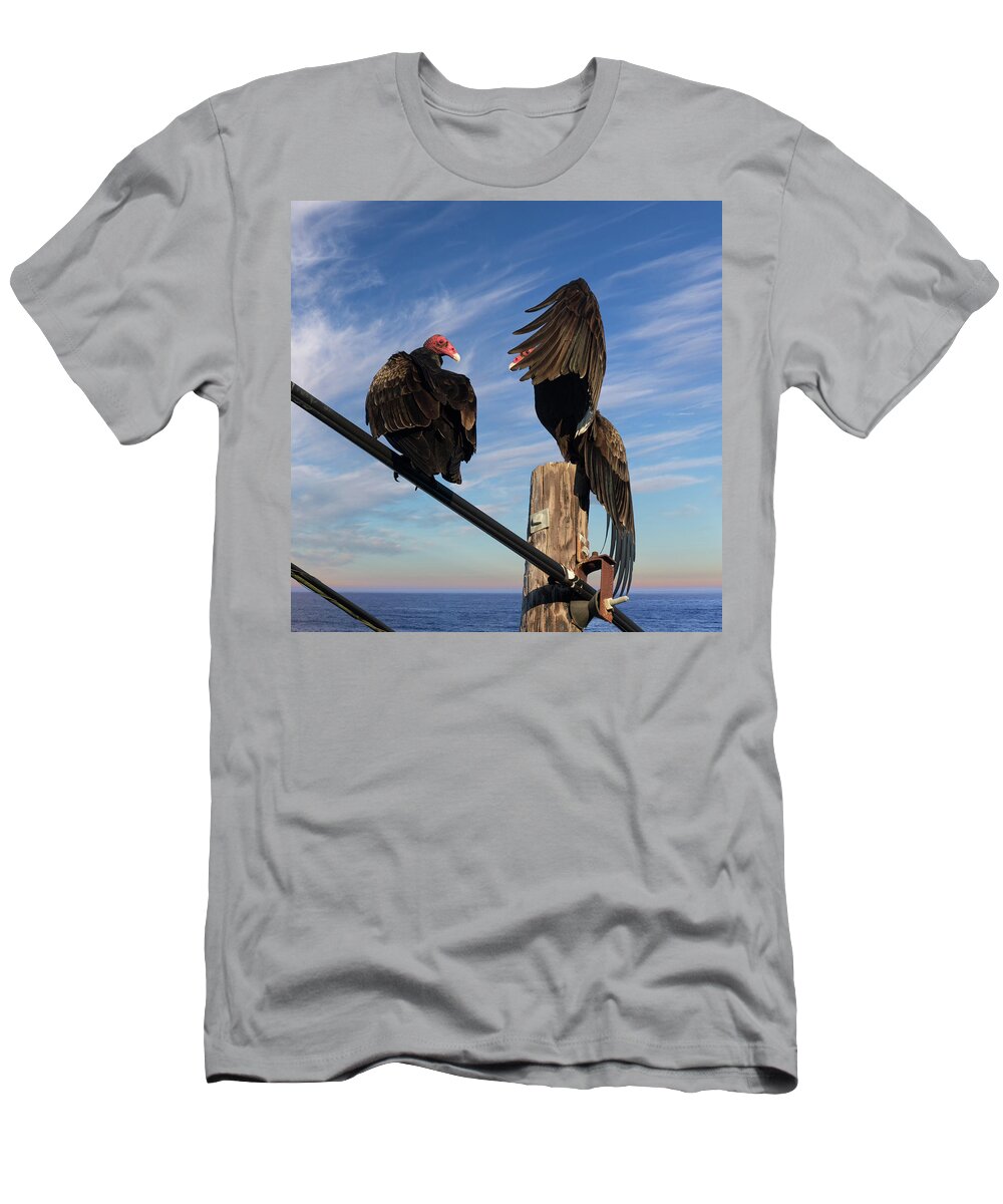 Turkey Vultures T-Shirt featuring the photograph Turkey Vulture Peek a Boo by Kathleen Bishop