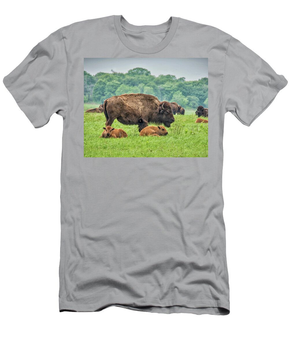 Tallgrass T-Shirt featuring the photograph Twin Baby Buffalo by Bert Peake