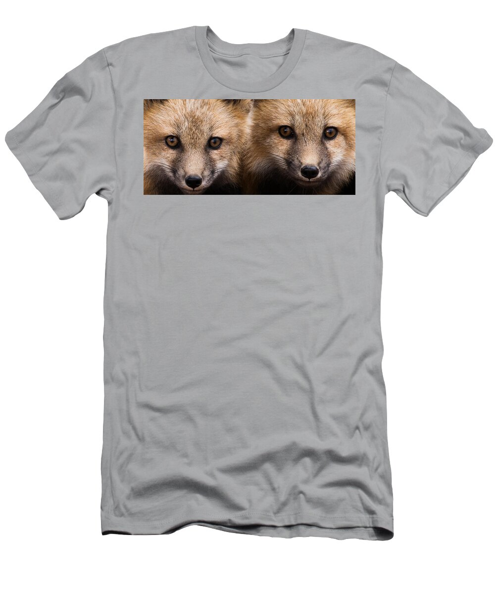 Red Fox T-Shirt featuring the photograph Two Fox Kits by Mindy Musick King
