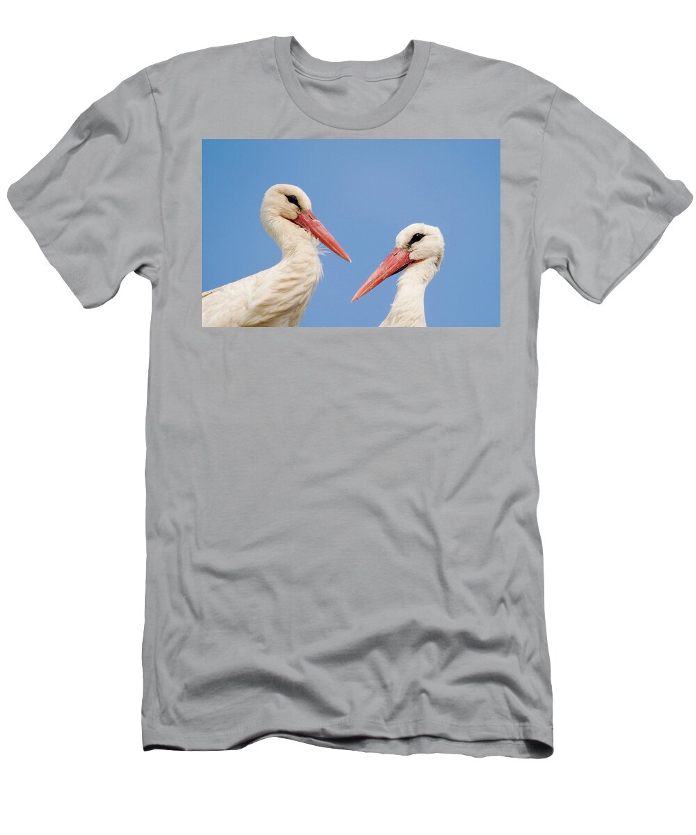 White Stork T-Shirt featuring the photograph Two Heads by Cliff Norton