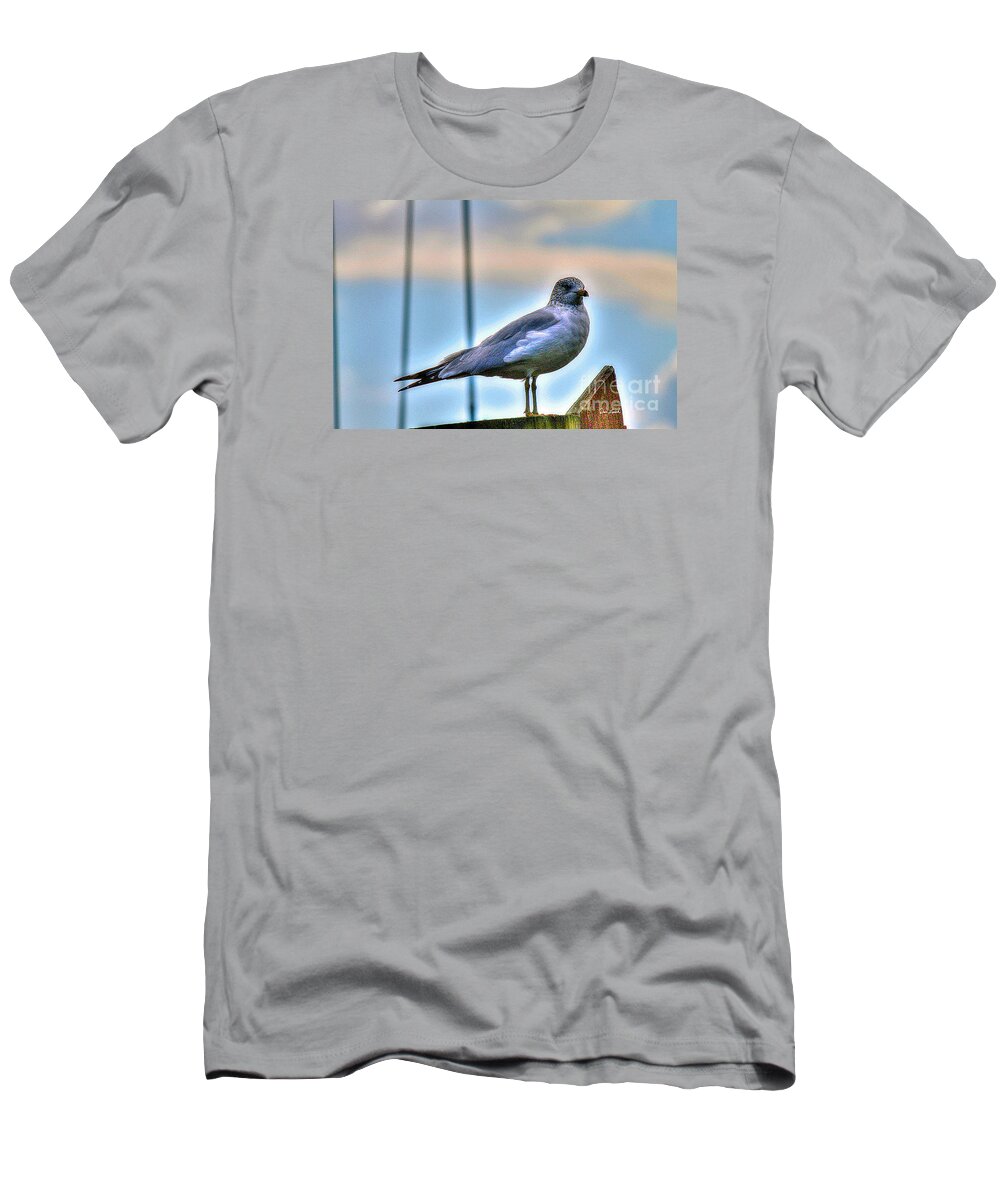 Virginia Beach T-Shirt featuring the photograph Virginia Beach VA - February SeaGull Rudee Inlet by Dave Lynch