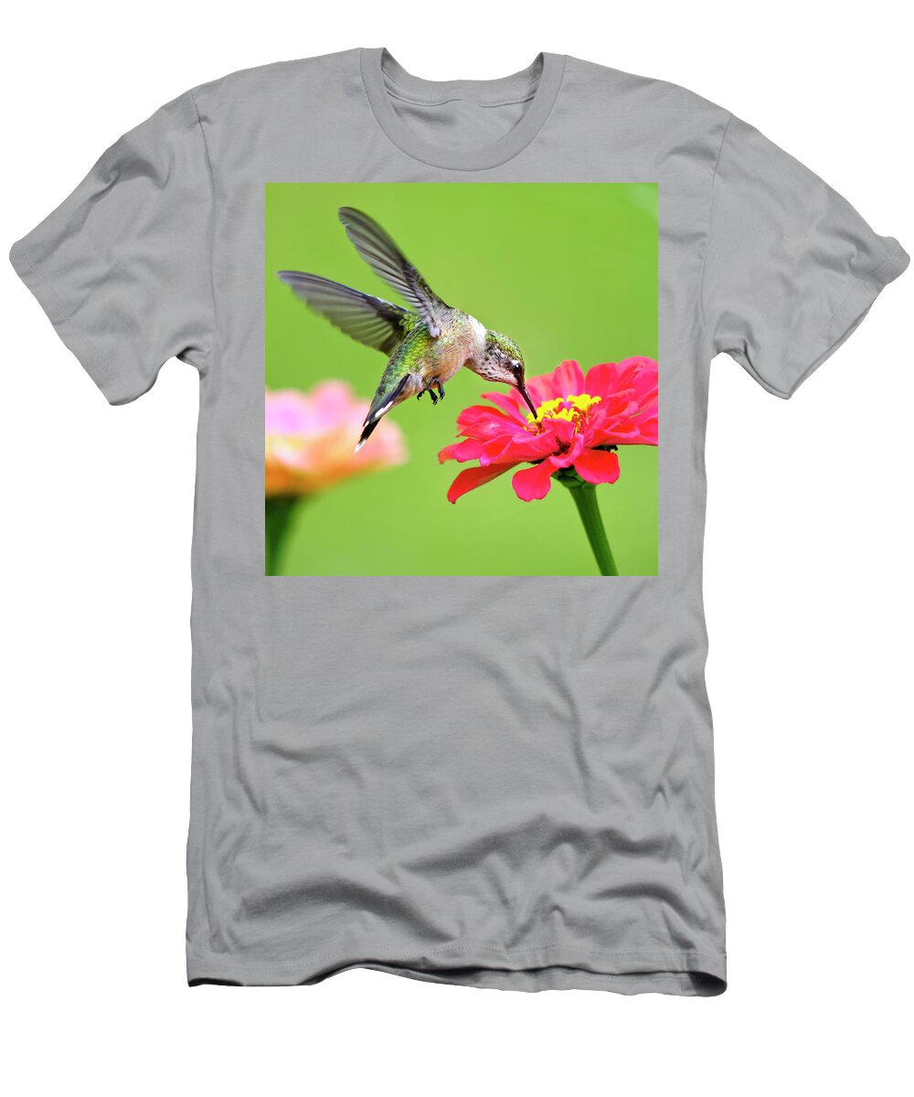 Hummingbird T-Shirt featuring the photograph Waiting in the Wings Hummingbird Square by Christina Rollo