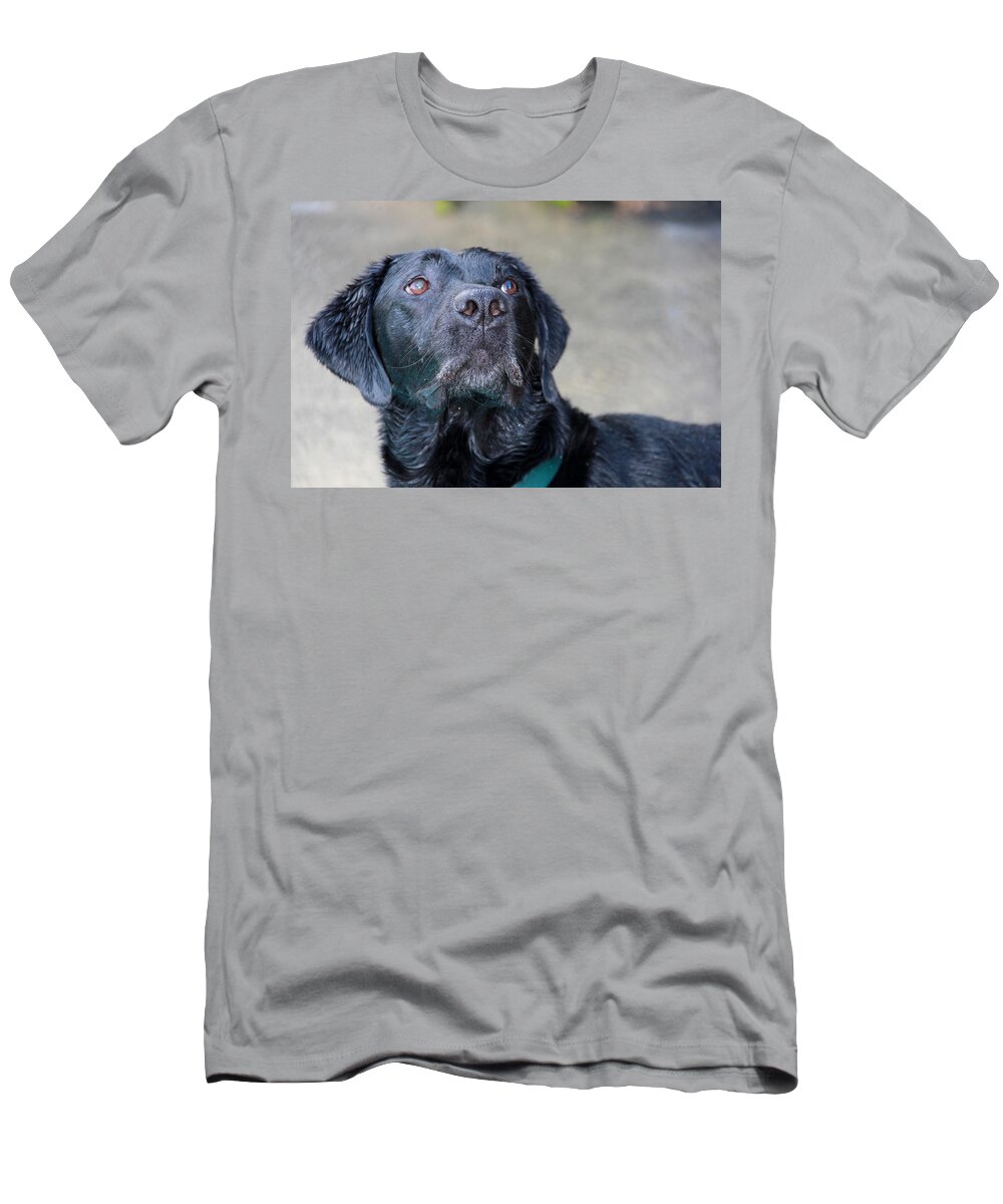 Photograph T-Shirt featuring the photograph Waiting On Your Command by Sheila Wedegis