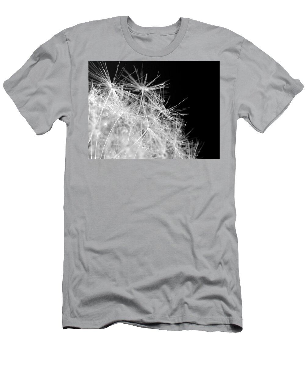Water Drops On Dandelion T-Shirt featuring the photograph Water drops on Dandelion by Marianna Mills