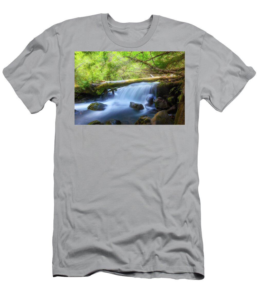 Waterfall T-Shirt featuring the photograph Waterfall along Cold Spring Creek in Oregon by David Gn