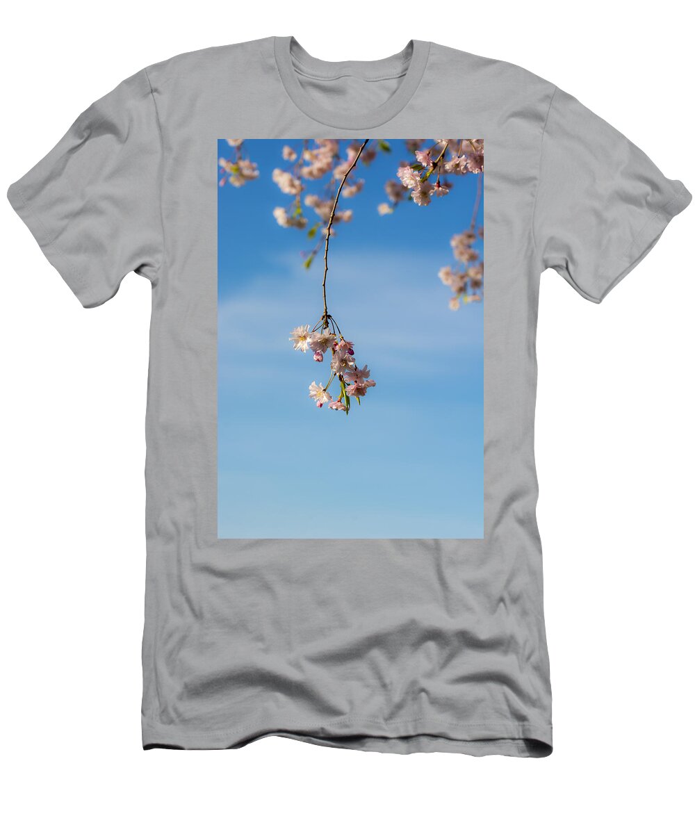 Weeping Cherry Tree Branch 3 T-Shirt featuring the photograph Weeping Cherry Tree Branch 3 by Tracy Winter