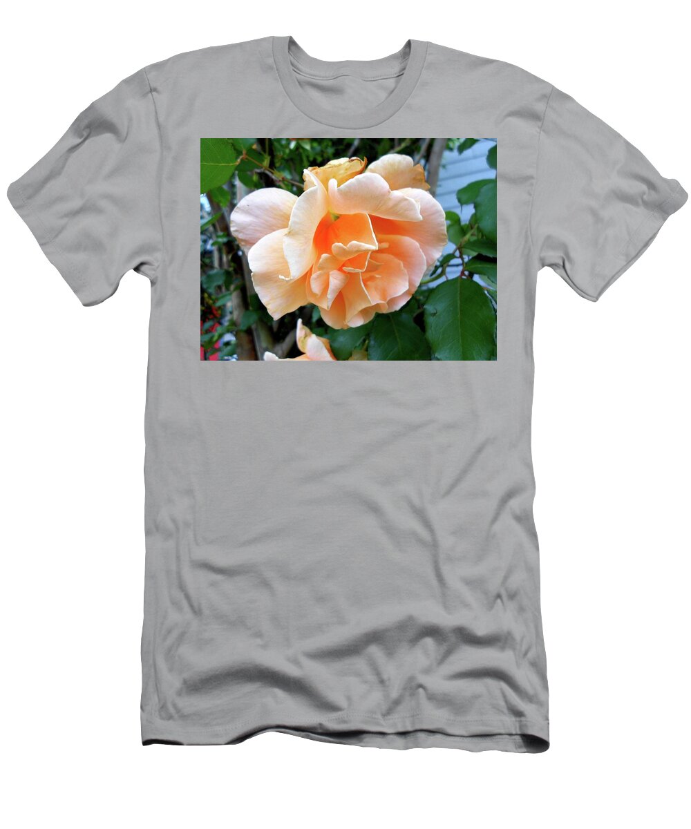 Orange T-Shirt featuring the photograph Weeping Orange Rose by Cynthia Westbrook
