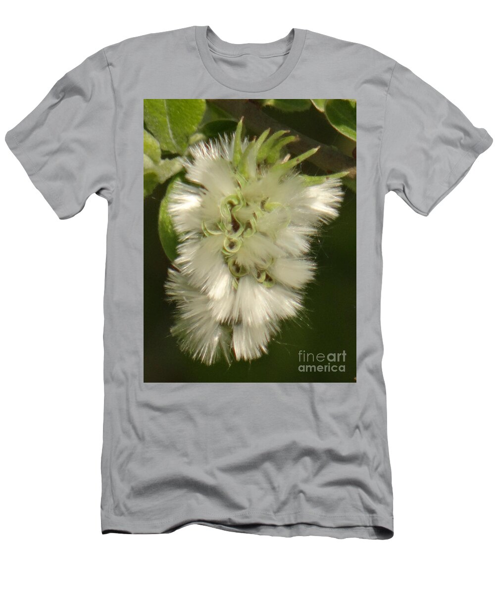 Spring T-Shirt featuring the photograph Welcome spring by Karin Ravasio