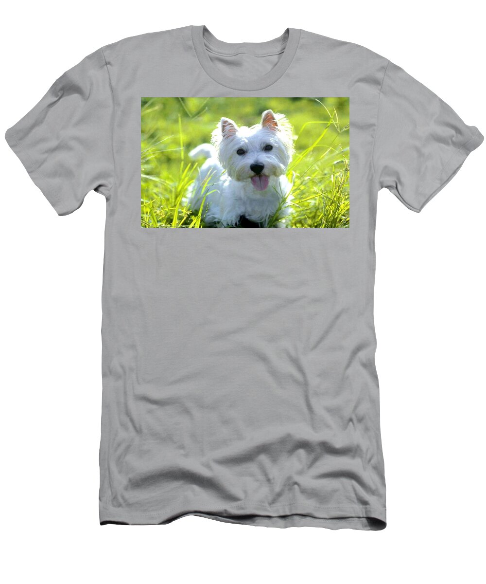 West Highland White Terrier T-Shirt featuring the photograph West Highland White Terrier by Jackie Russo