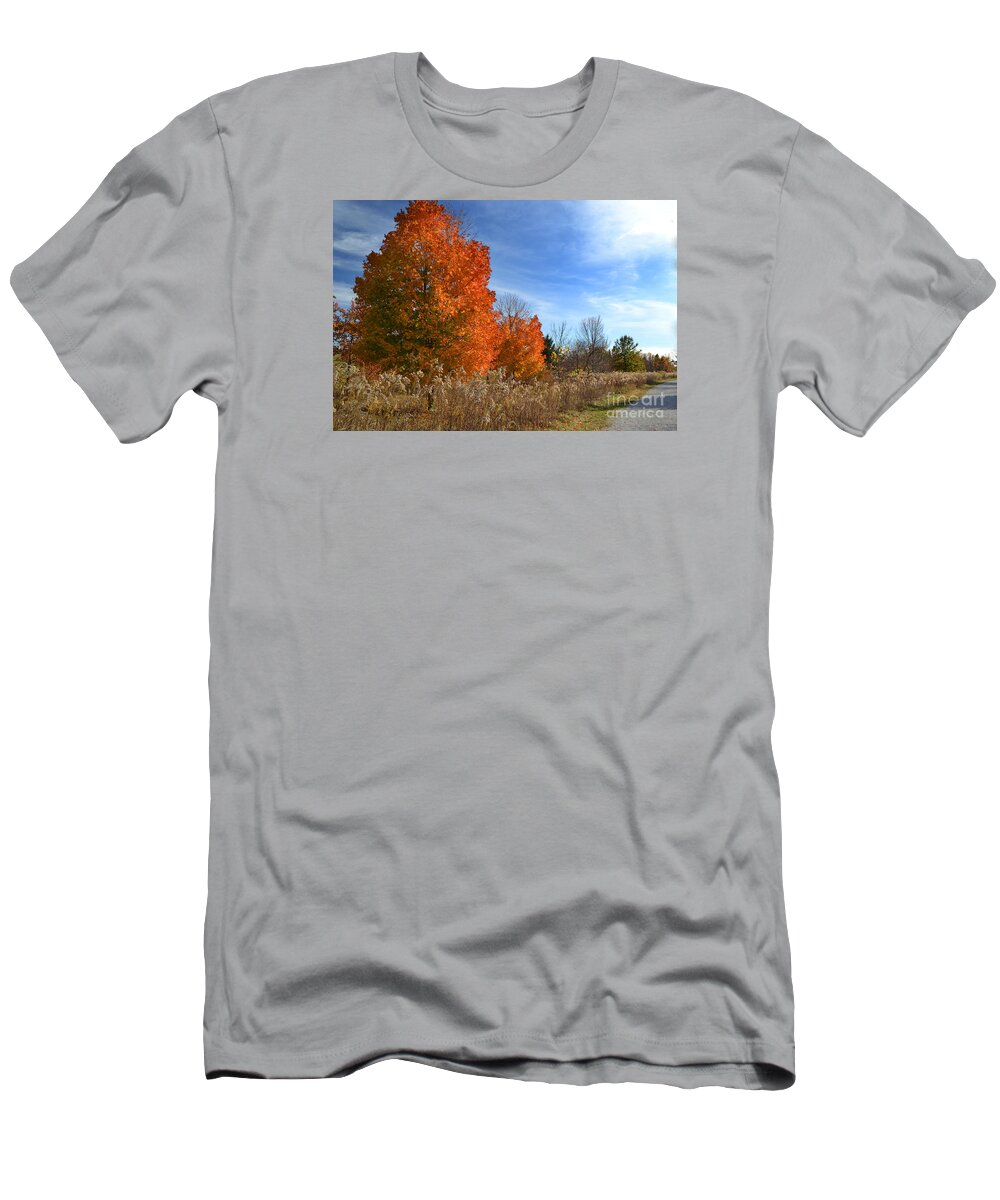 West Park T-Shirt featuring the photograph West Park Orange Fall Trees by Amy Lucid